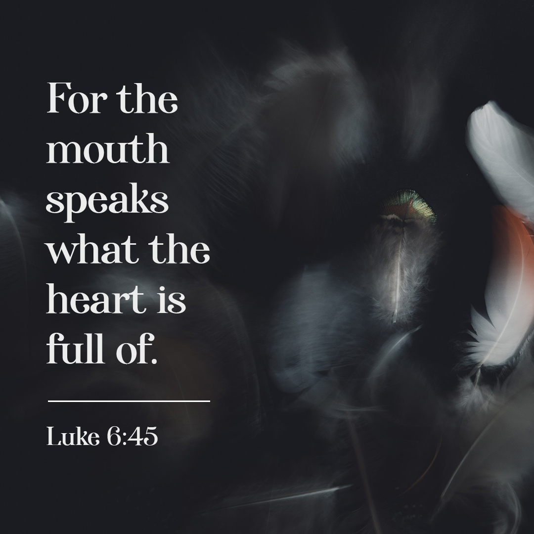 out of the overflow of the heart the mouth speaks luke 6 45